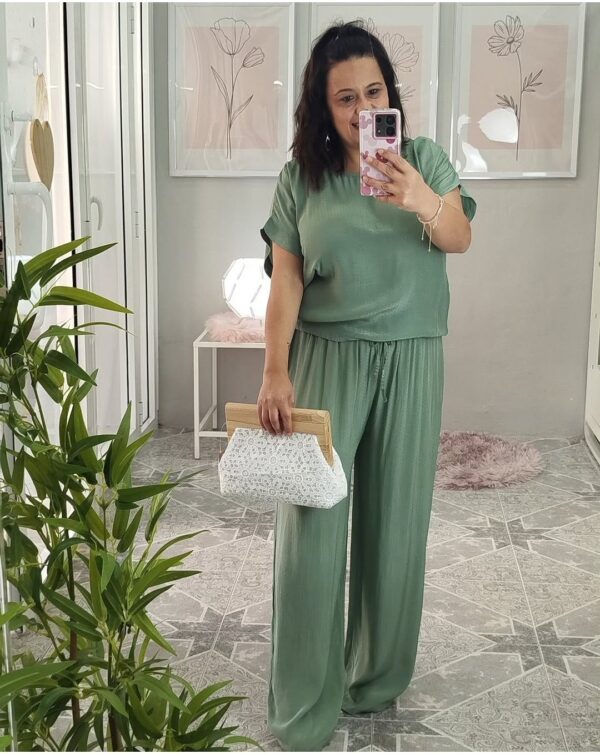 Conjunto vega